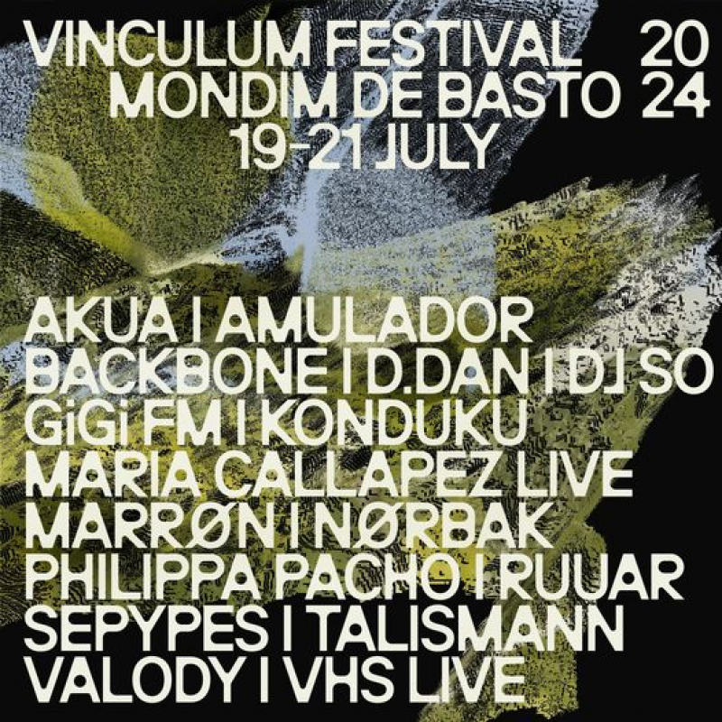 Festival Vinculum leva 16 artistas a Mondim de Basto em julho
