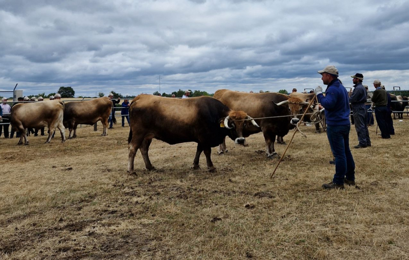 Estudo defende cadeias curtas de distribuição e 'simplex' agrário na região Norte