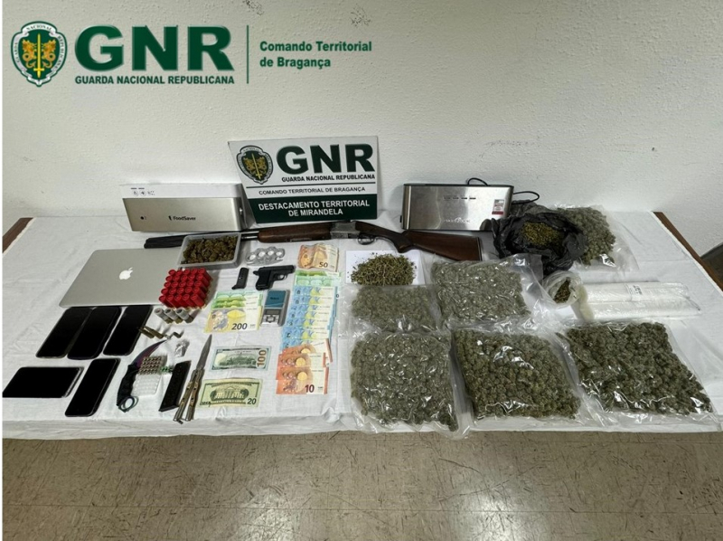 GNR desmantela rede de jovens que vendia droga a estudantes em Bragança
