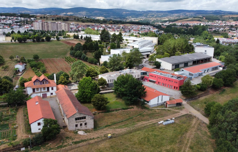 Relatório sugere semestre preparatório para alunos dos PALOP que procuram Portugal