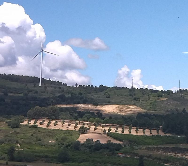 Comunidade de baldios atribui a famílias 200 euros a partir de receitas de eólicas