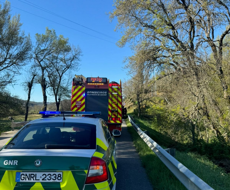 Homem de 52 anos morre em acidente de trabalho em Vila Pouca de Aguiar