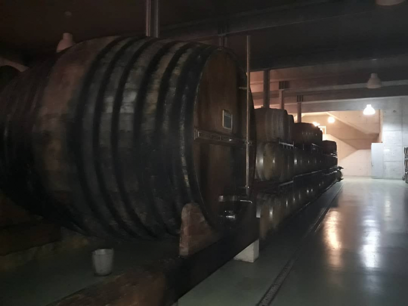 Sogrape declara 2022 ano Vintage para três vinhos do Porto