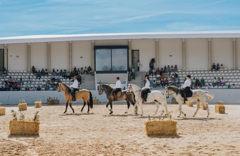 Mogadouro passa a dispor de centro hípico para a prática de atividades equestres