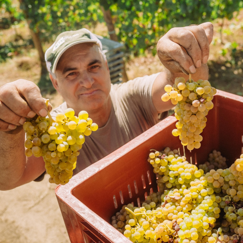 Produtores do Douro revelam preocupações em carta aberta ao ministro da Agricultura