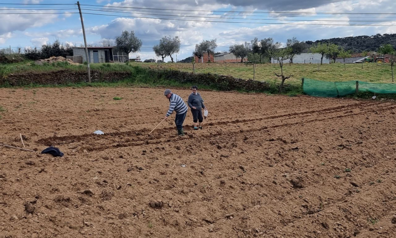 Agricultores submeteram quase 186.000 candidaturas ao Pedido Único