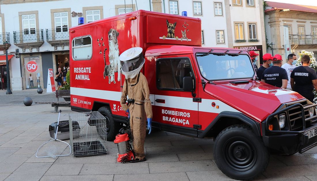 Bombeiros de Bragança com viatura para resgate animal e extermínio de vespa asiática