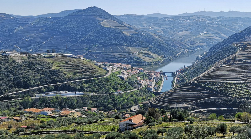 Associação apela ao voto nulo em alerta para a "catarse profunda" do Douro