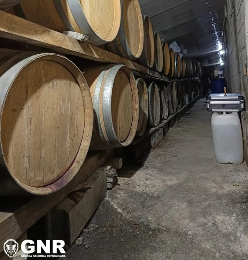 GNR apreendeu mais de sete mil litros de vinho licoroso em Vila Real