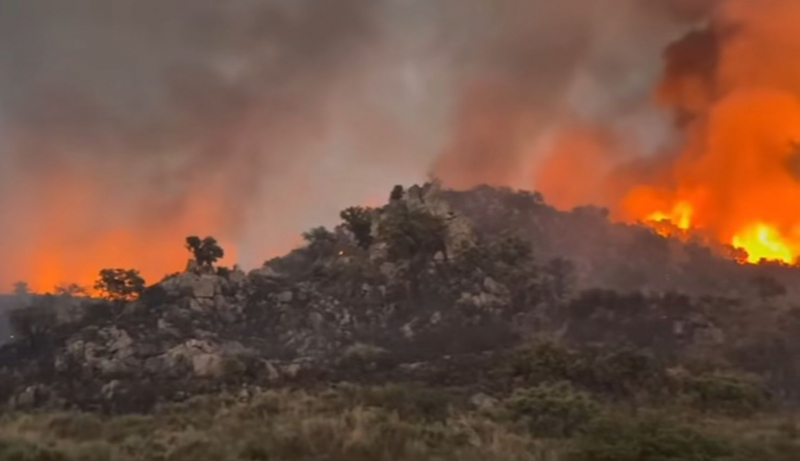 Mais de 100 operacionais combatem fogo no concelho de Torre de Moncorvo