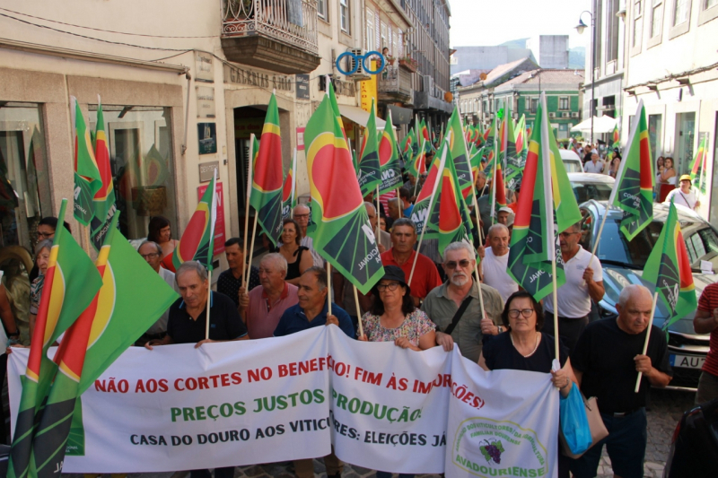 Viticultores do Douro alertam em manifestação para vindima negra que se aproxima