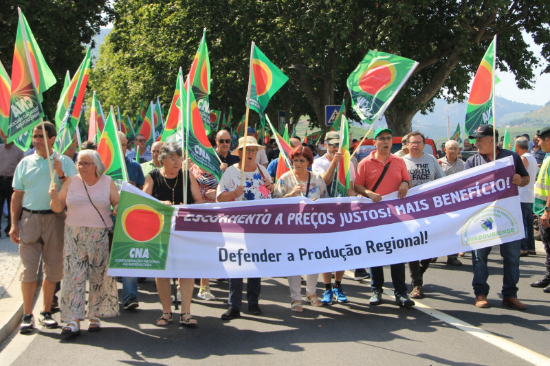 Viticultores alertaram para a crise no Douro mas separaram-se na hora do protesto