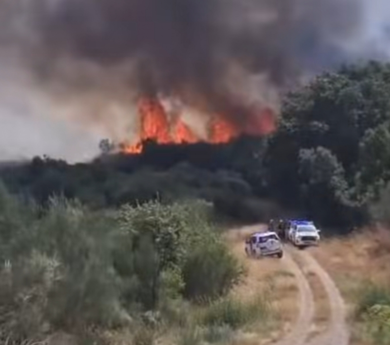 Mais de 110 operacionais e três meios aéreos combatem fogo em Montalegre