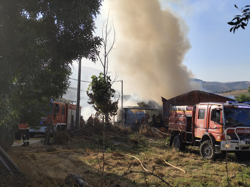 Carpintaria arde completamente em Vale de Lamas