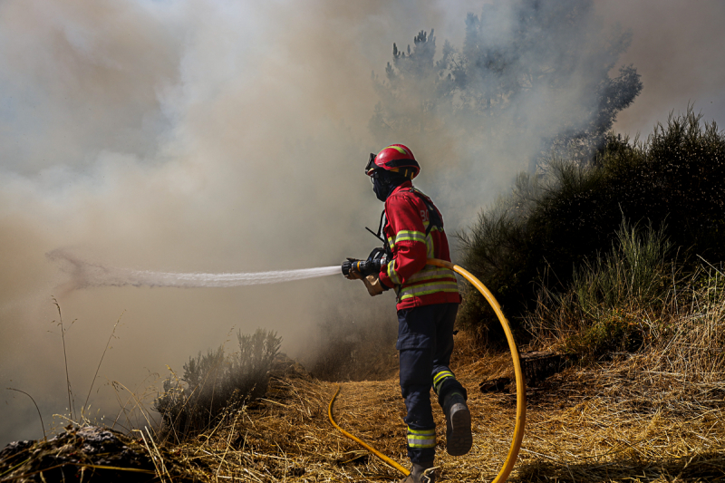 Cinco meios aéreos reforçam combate em Vila Real e Mondim de Basto
