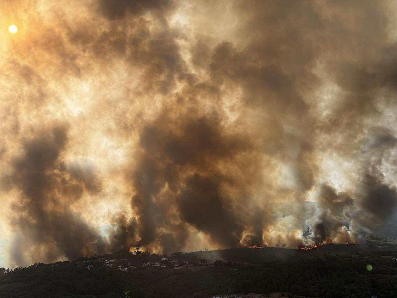 Forte reativação em zona de pinhal e mato em Vila Real