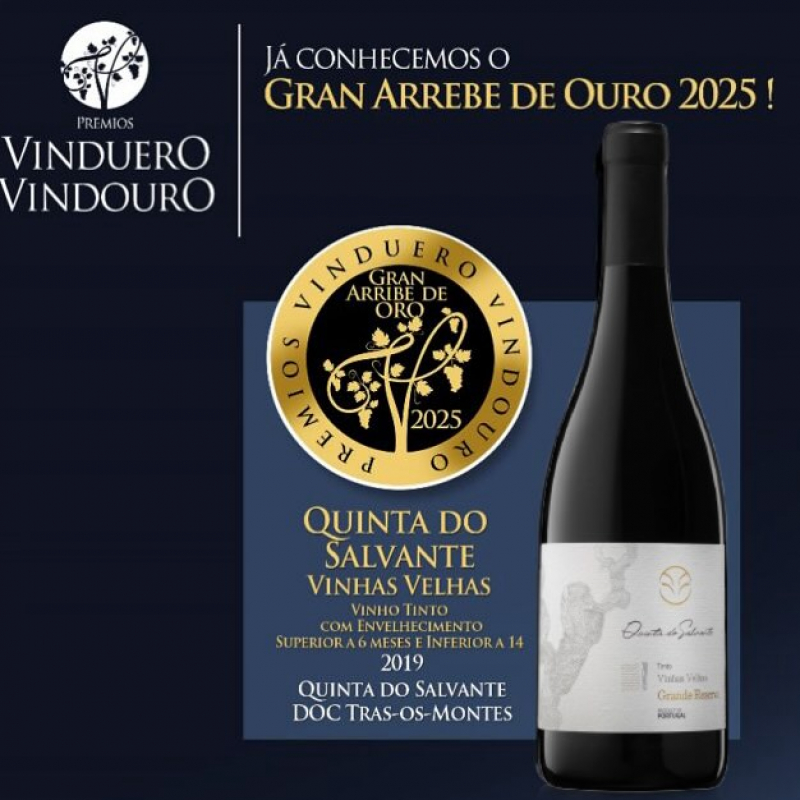 Vinho transmontano tido como o melhor nos prémios ibéricos VinDuero-VinDouro