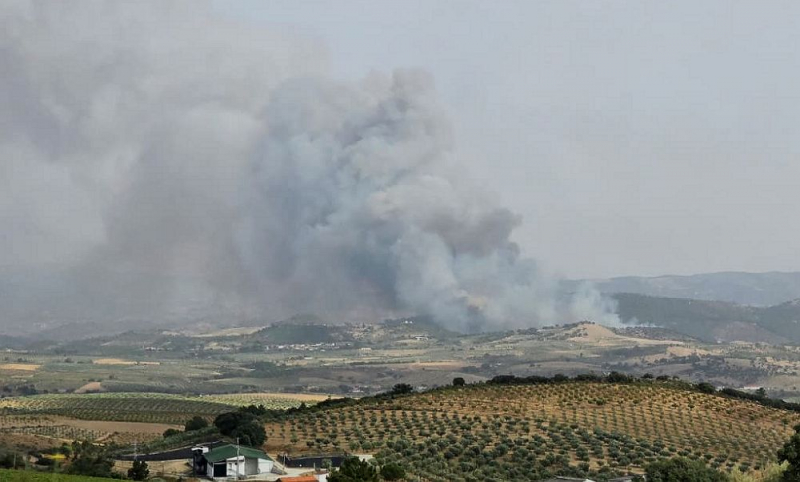 Fogo de Mirandela passa IP2 e faz confinar moradores de Vilares da Vilariça