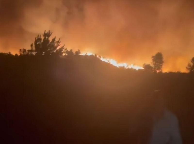 Santa Comba da Vilariça cercada pelo fogo e sem bombeiros no combate - autarca