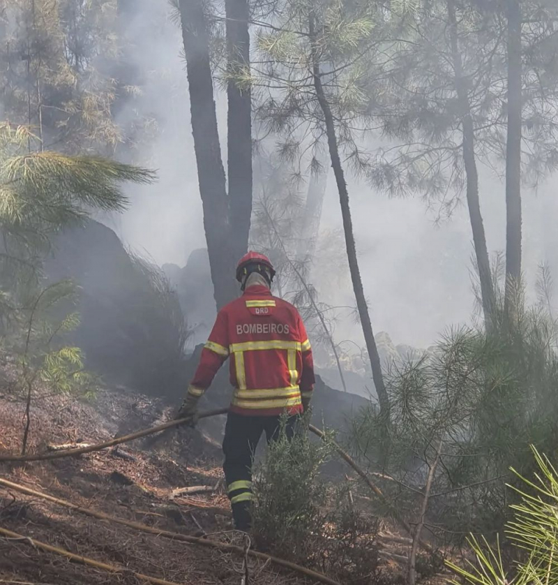 Combate ao incêndio decorre favoravelmente em Chaves