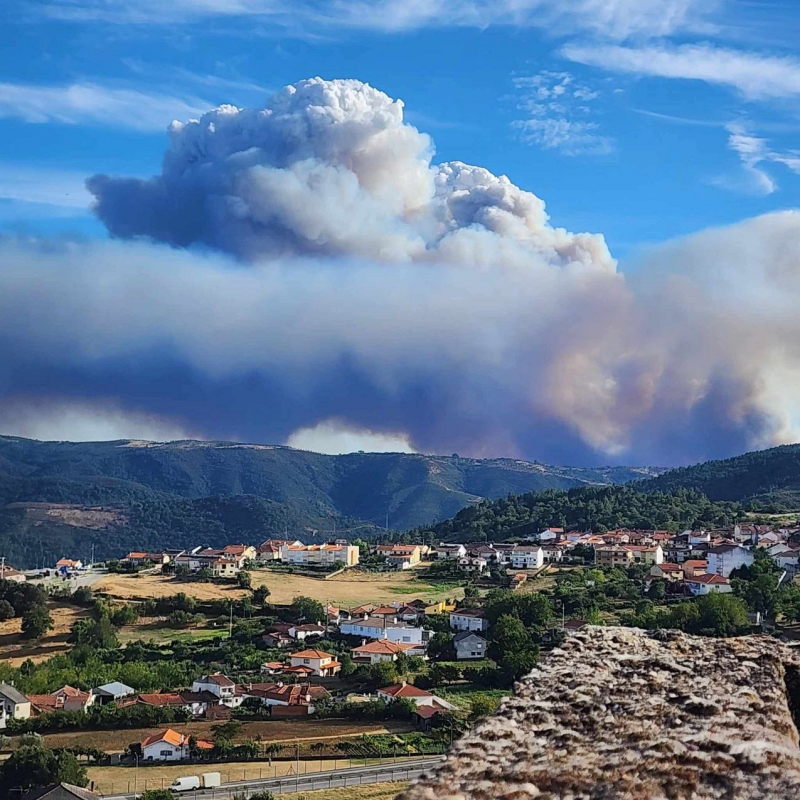 Três frentes ativas no incêndio de Vinhais que lavra em direção a Ervedosa