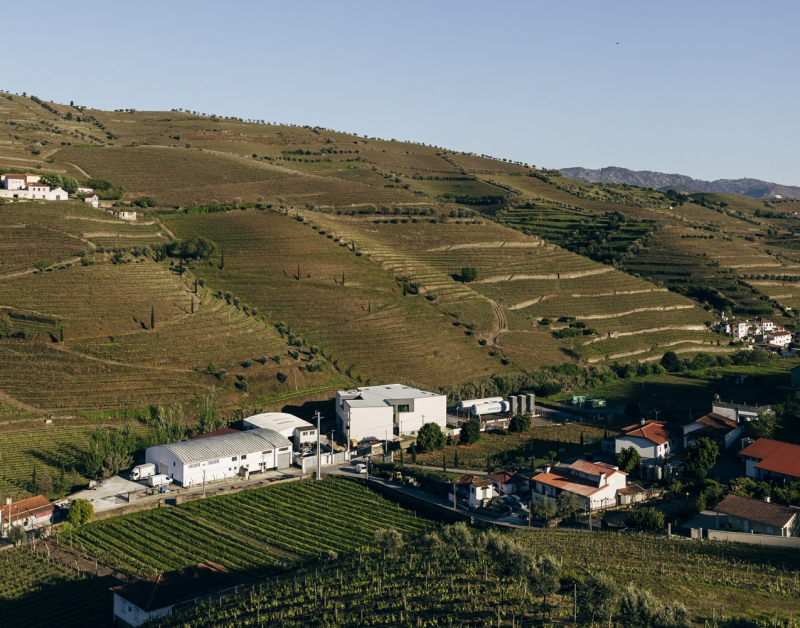Centro de Vinificação do Vale do Douro abre na Régua depois de investimento de 5ME