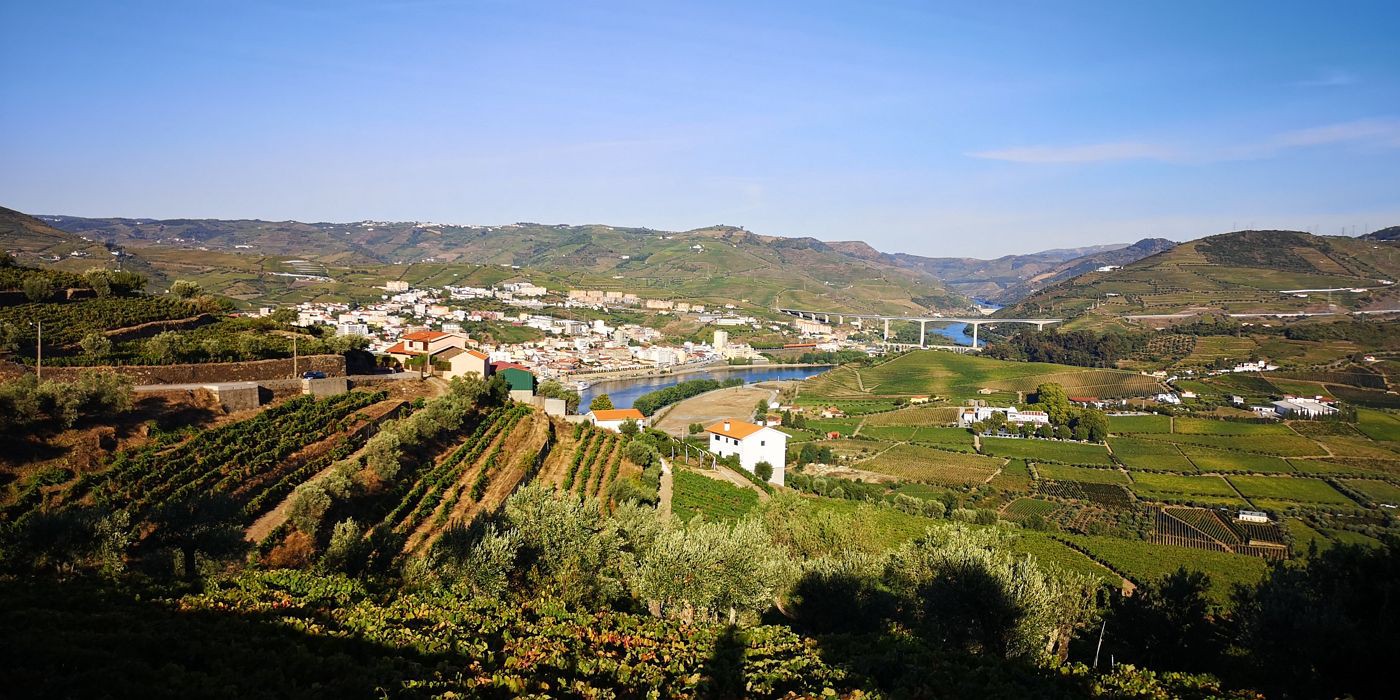 É “imoral” não renovação de apoio ao vinho do Porto