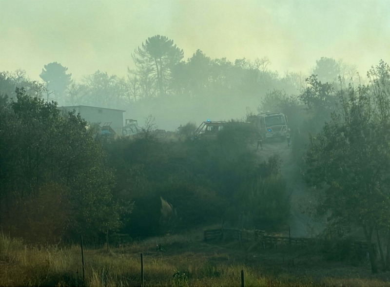 Fogo que deflagrou na segunda-feira em Chaves está em conclusão