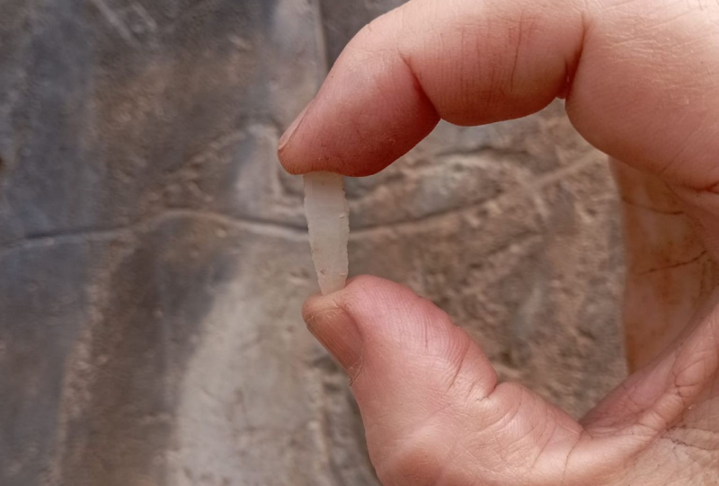 Arqueólogos encontram vestígios de presença humana com mais de 26 mil anos no Vale do Côa