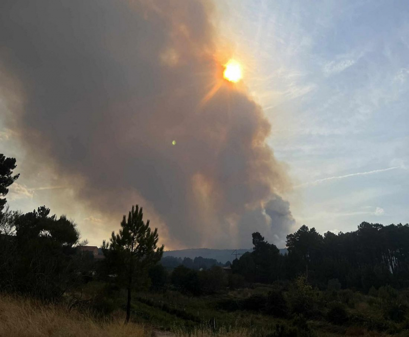 Incêndio em Murça dado como dominado - Proteção Civil