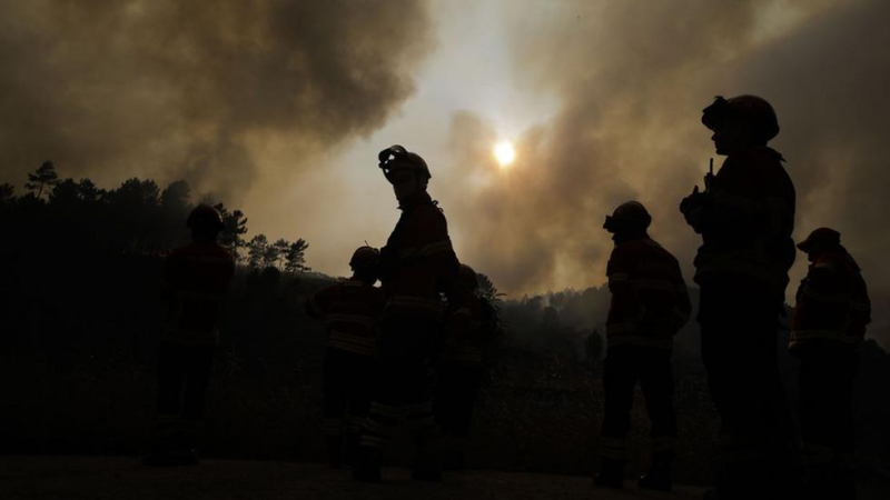 Cinco arguidos por fogo florestal em Carrazeda de Ansiães