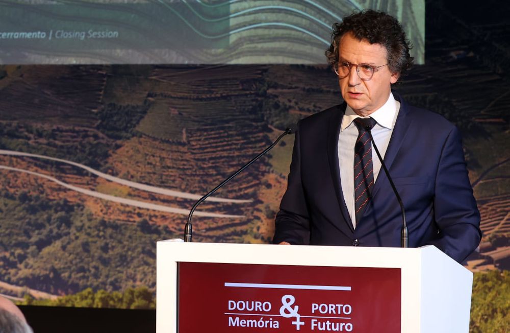 IVDP adia decisão sobre produção de vinho do Porto e aguarda resposta do Governo