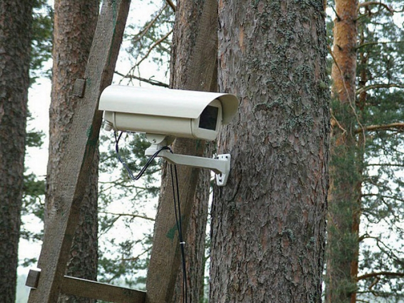 Vila Real instala câmaras de vigilância na floresta e reforça prevenção