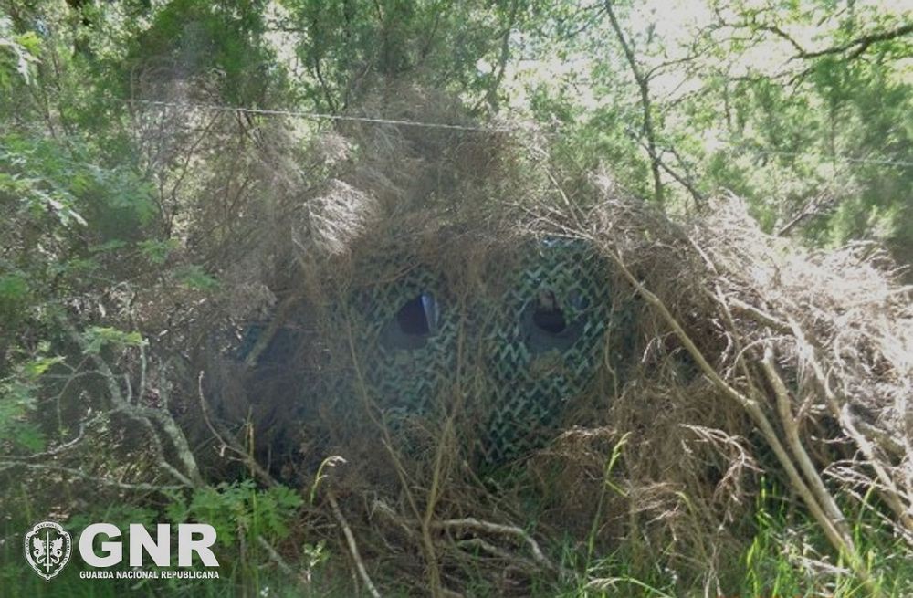 Homem identificado por caça ilegal com meios proibidos