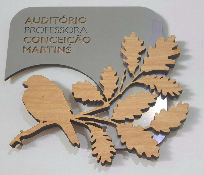 Prémio Conceição Martins criado para reconhecer educação ambiental feminina