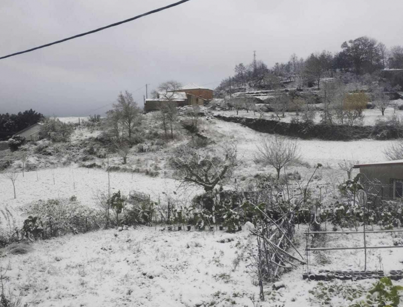 Escolas fechadas e transportes escolares suspensos em Chaves