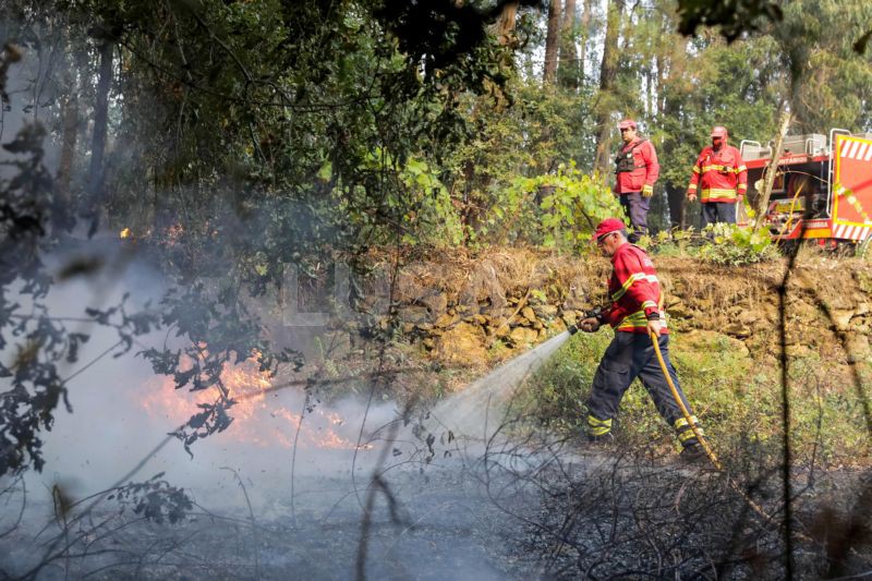 Mais de uma centena de bombeiros combatem chamas em Mogadouro