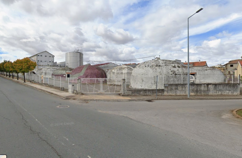 Viticultores de Planalto Mirandês pedem a credores que mantenham a adega a funcionar