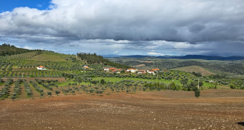 Pedido de prospeção mineira em Mirandela em consulta pública com pareceres favoráveis