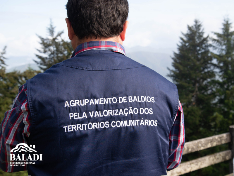 Federação Nacional de Baldios critica fim da cogestão e a concentração de poderes no ICNF