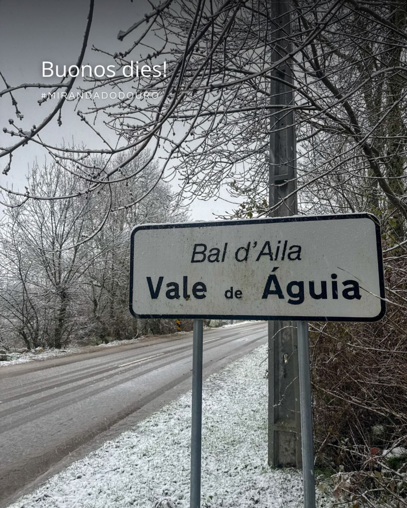 Escolas de Miranda do Douro e Mogadouro fechadas devido à queda de ne