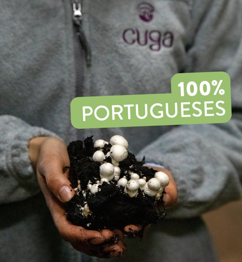 Portuguesa Cuga estima produzir 6,5 mil toneladas de cogumelos frescos este ano