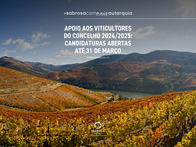 Viticultores de Sabrosa podem candidatar-se a apoios municipais até 31 de março