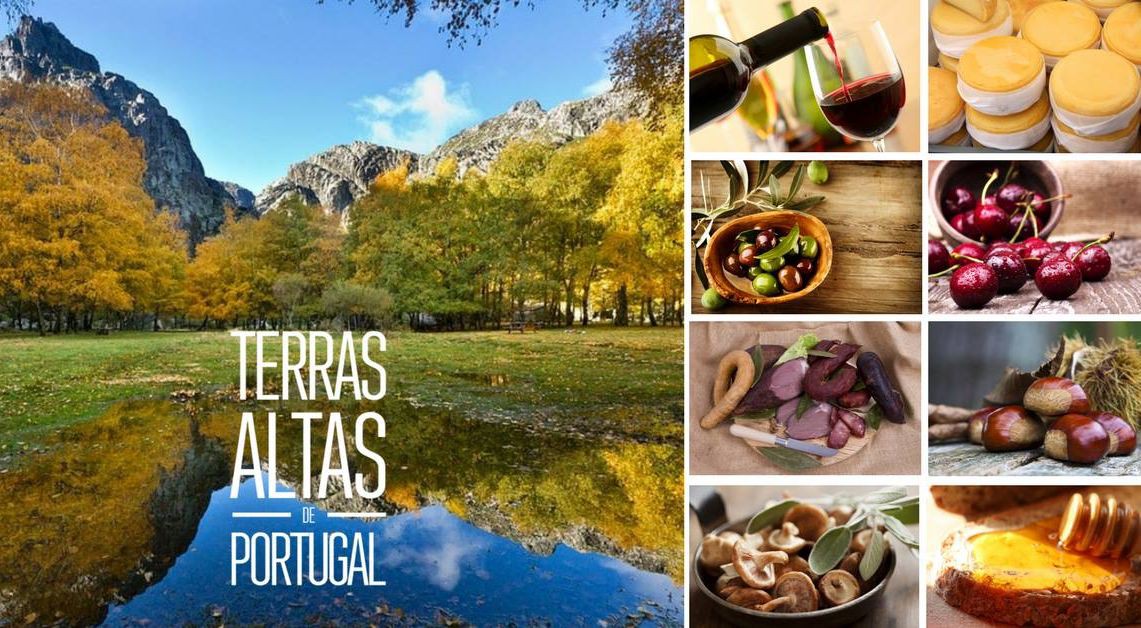 "Terras Altas" apoiam setor agroalimentar para internacionalização