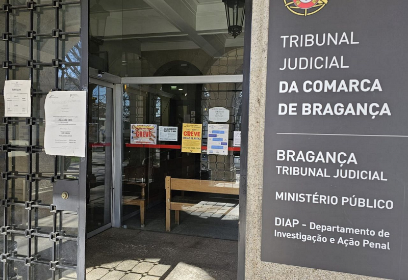 Testemunha admite relação entre duas empresas no julgamento de ex-autarcas de Mogadouro