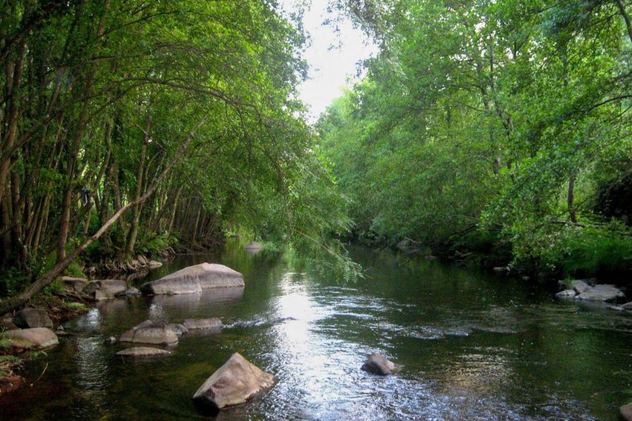 Homem morre com ferimentos na cabeça junto a rio em Vila Real