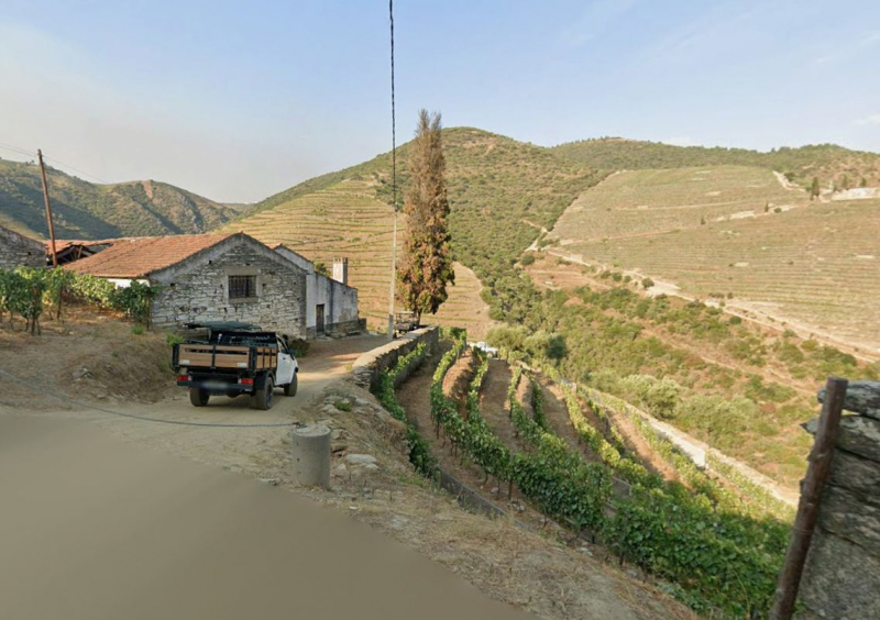 Kimbrel Wines investe 10ME no Douro e tem foco no mercado americano