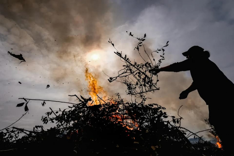 GNR de Vila Real deteve três suspeitos de crime de incêndio florestal