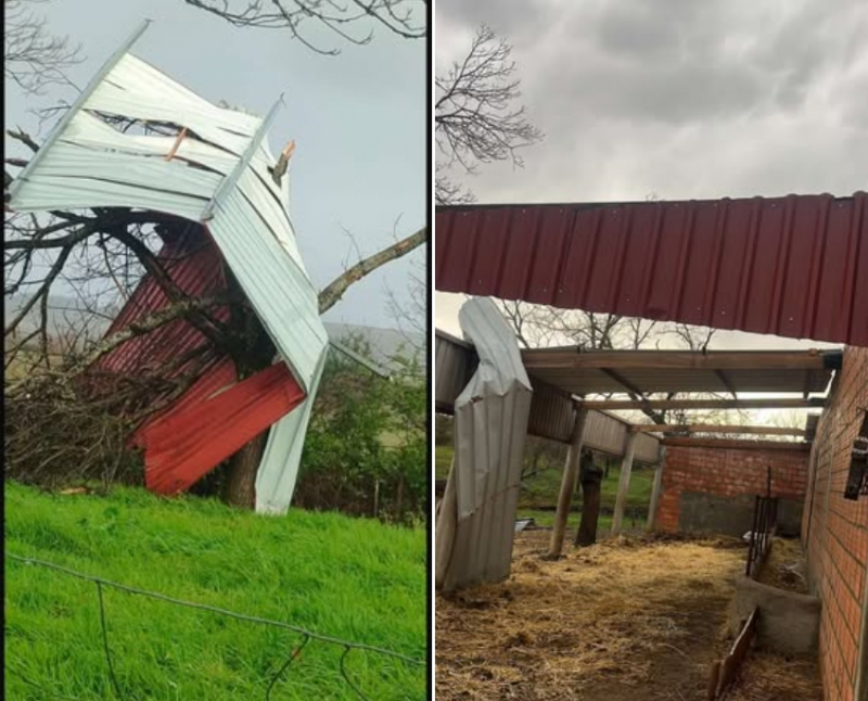 Fenómeno de vento extremo destruiu telhados e partiu árvores em aldeia de Vinhais