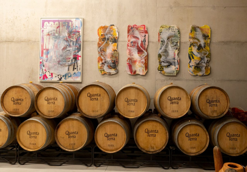 Quanta Terra apresenta nova exposição de arte contemporânea no coração do Douro